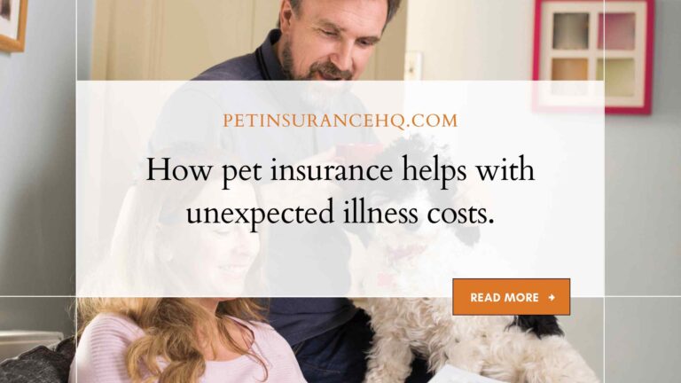 How pet insurance can help with the costs of unexpected illnesses