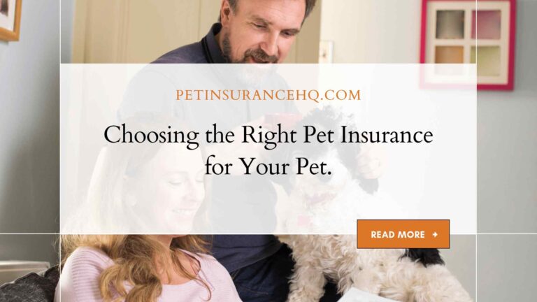 How to Choose the Right Pet Insurance Policy for Your Pet