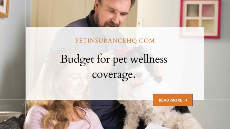 How to budget for wellness coverage for your pet