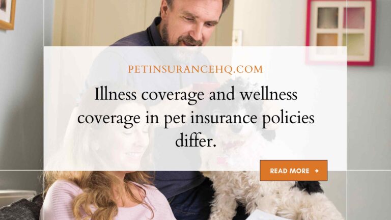 The differences between illness coverage and wellness coverage in pet insurance policies