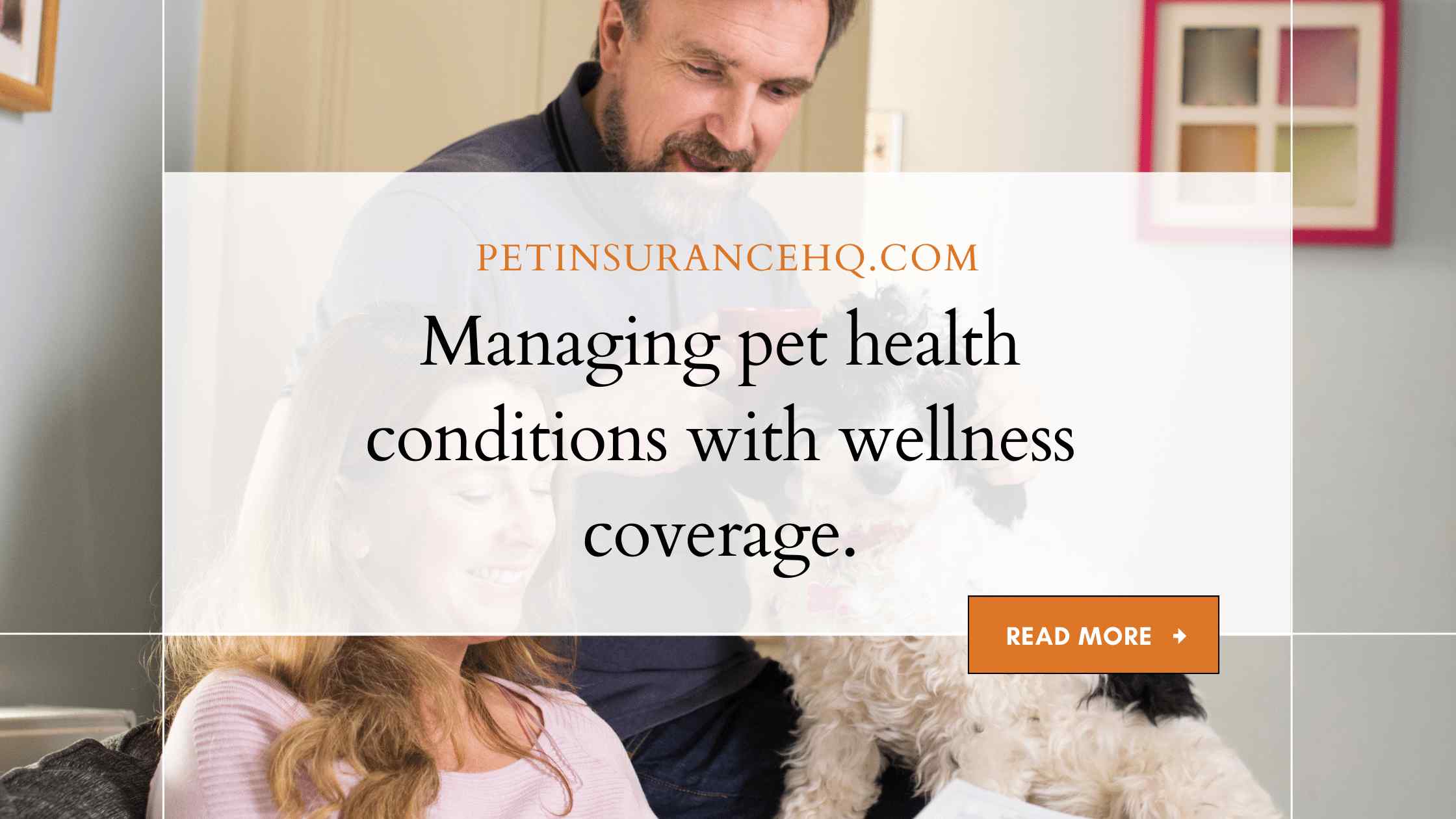 The role of wellness coverage in managing chronic health conditions in pets